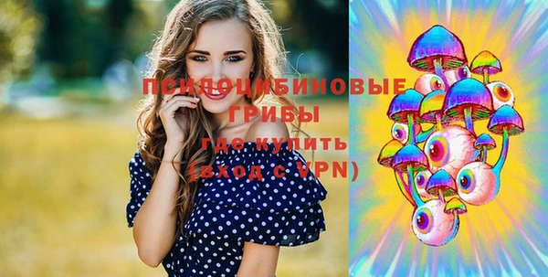гидропоника Вяземский
